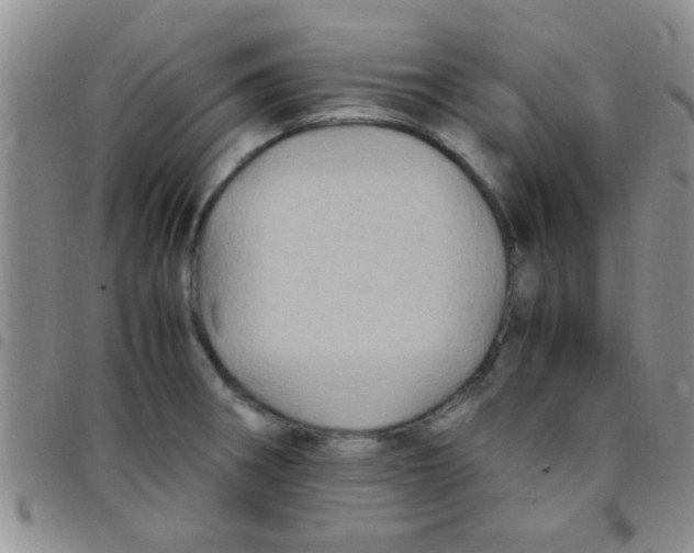 X0000097501282200803142011