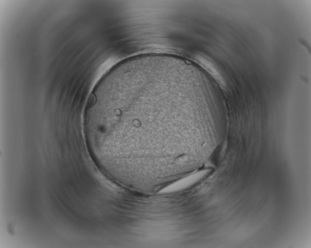 X0000097501283200803142011