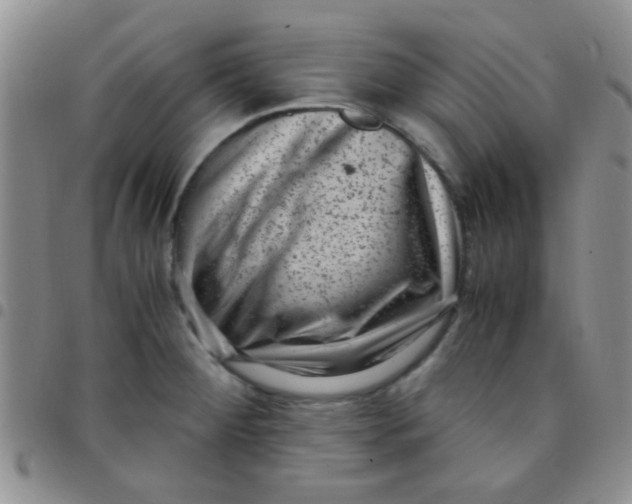 X0000097501284200803142011