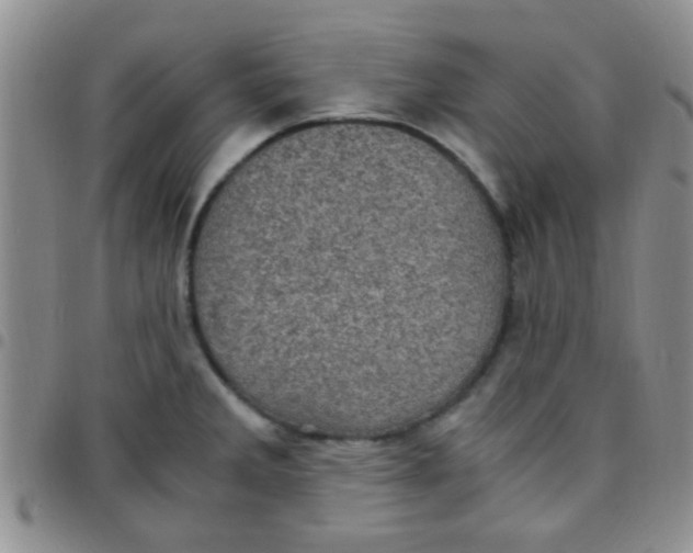 X0000097501285200803142011