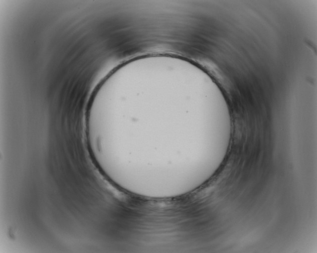 X0000097501286200803142011