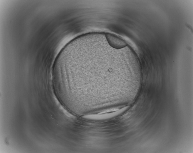 X0000097501287200803142011