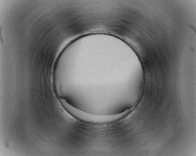 X0000097501288200803142011