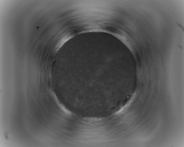 X0000097501289200803142011