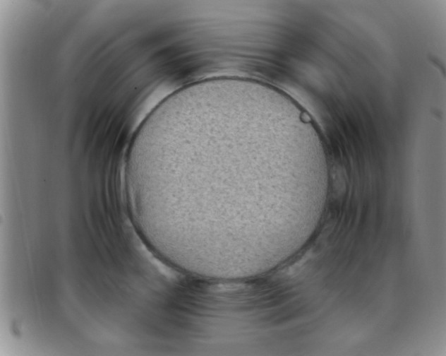 X0000097501290200803142011