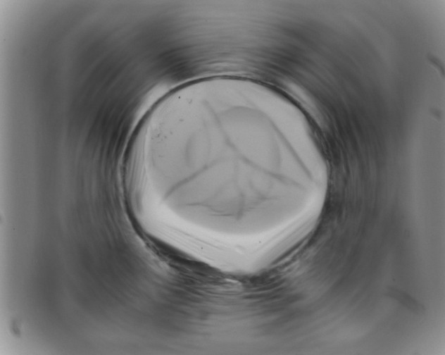 X0000097501291200803142011