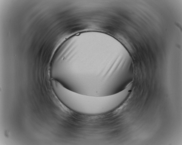 X0000097501292200803142011