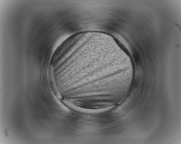 X0000097501293200803142011