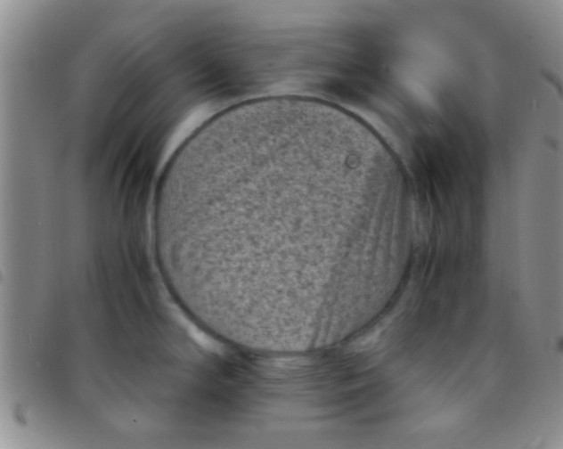 X0000097501294200803142011