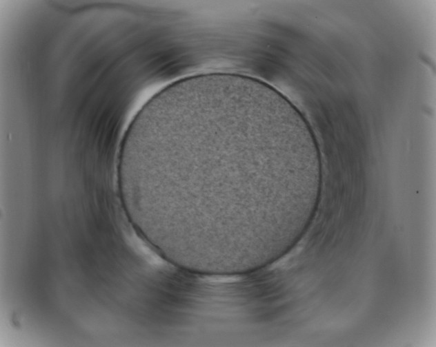 X0000097501296200803142011