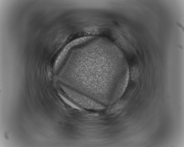 X0000097501298200803142010