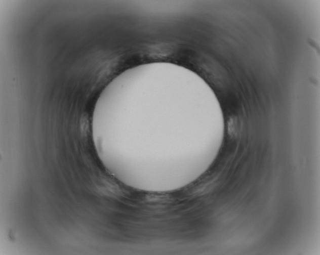 X0000097501299200803142010