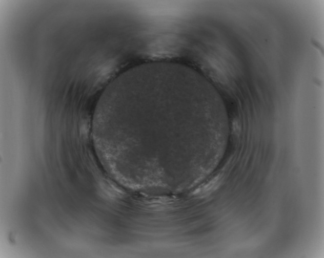 X0000097501300200803142010