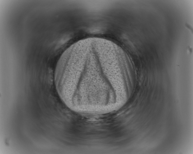 X0000097501301200803142010