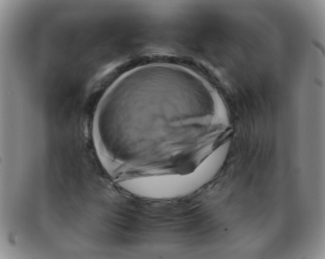 X0000097501303200803142010