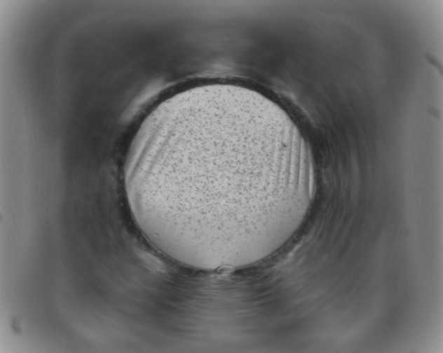 X0000097501304200803142010