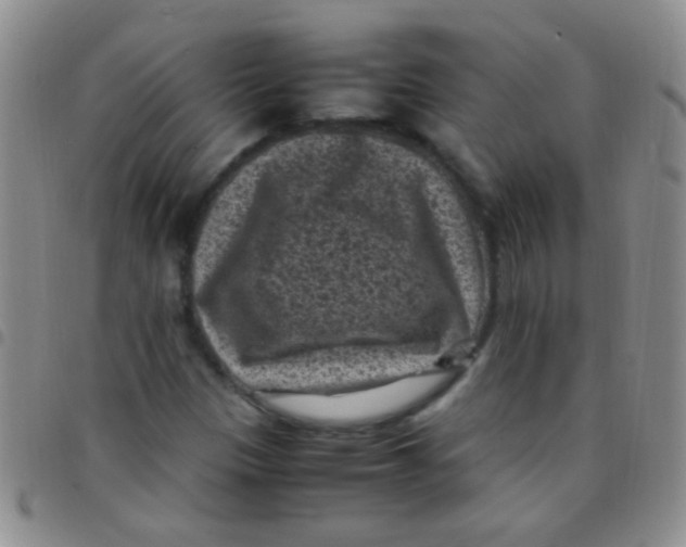 X0000097501305200803142010