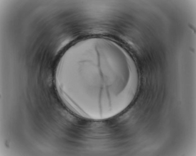 X0000097501306200803142010