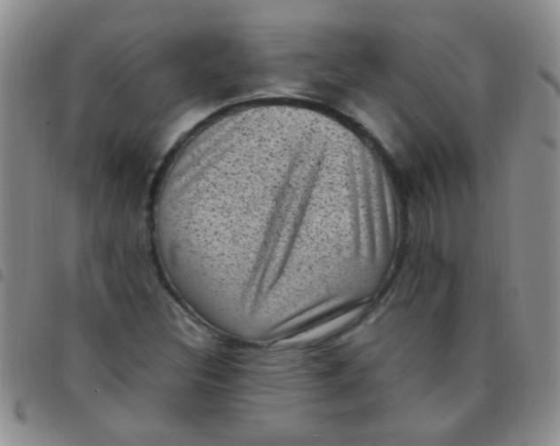 X0000097501308200803142010