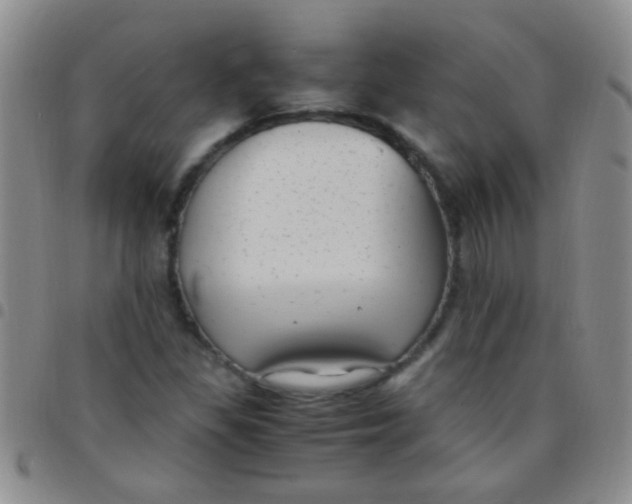 X0000097501309200803142010