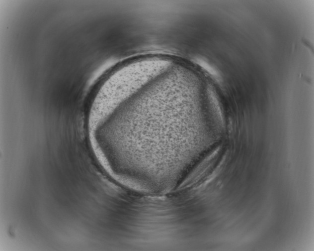 X0000097501310200803142010