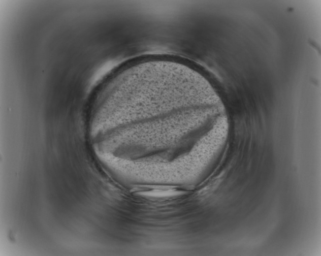 X0000097501311200803142010