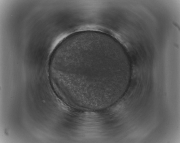 X0000097501312200803142010