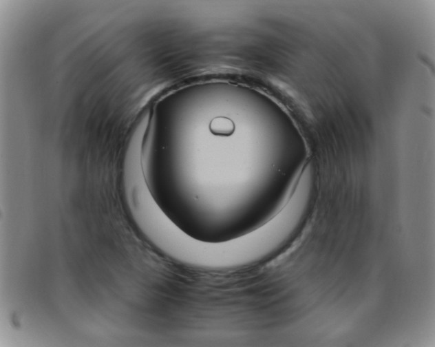 X0000097501313200803142010