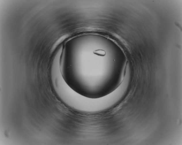 X0000097501314200803142010