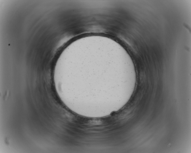 X0000097501315200803142010