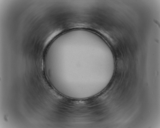 X0000097501317200803142010