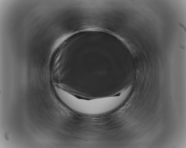 X0000097501319200803142010