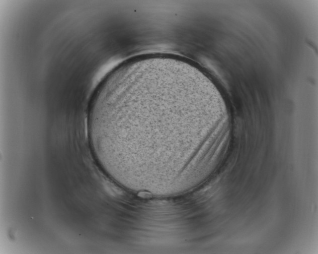 X0000097501320200803142010