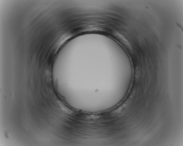 X0000097501321200803142010