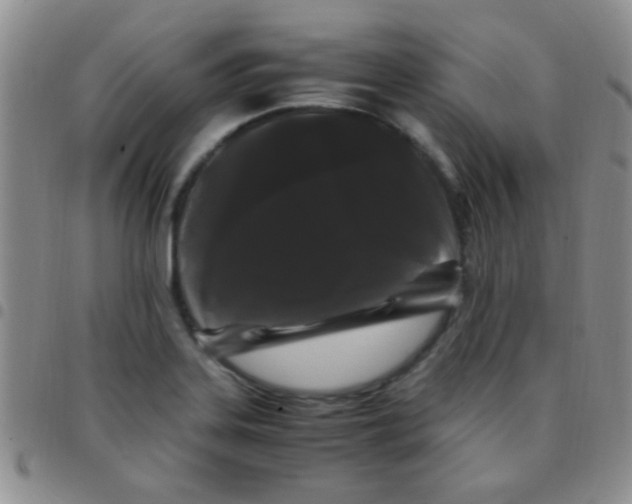 X0000097501323200803142011