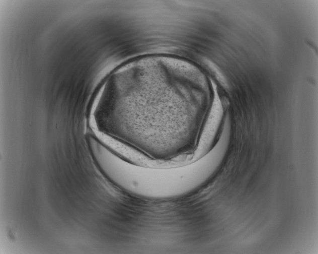 X0000097501324200803142011