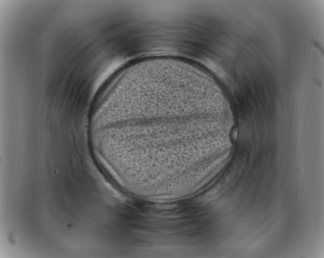 X0000097501325200803142011