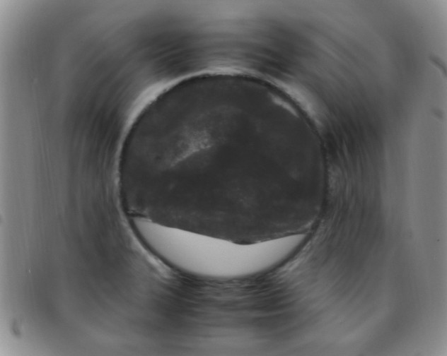 X0000097501327200803142011