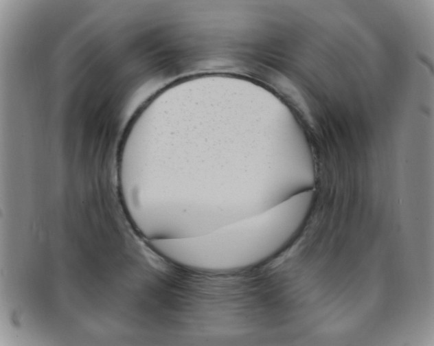 X0000097501328200803142011