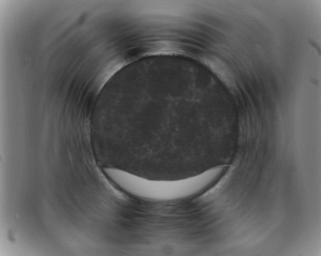 X0000097501329200803142011