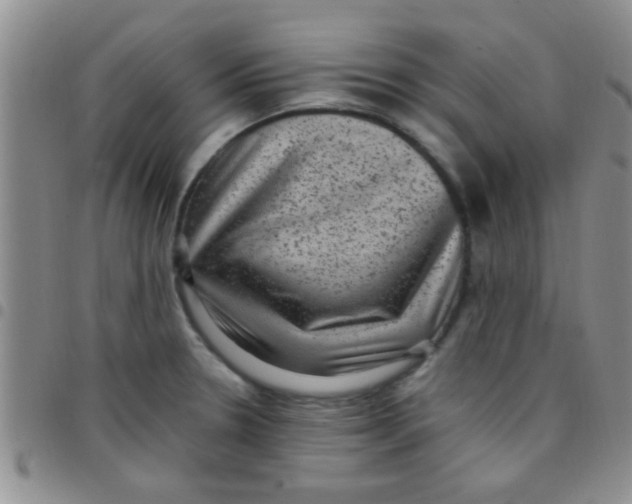 X0000097501330200803142011