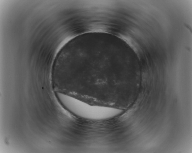 X0000097501331200803142011