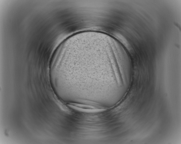 X0000097501332200803142011