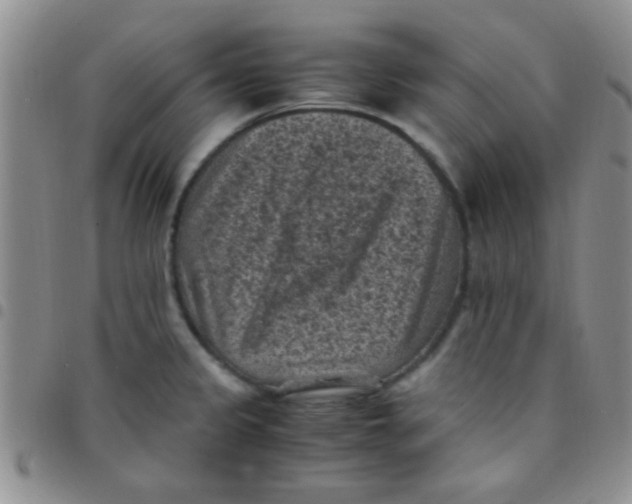 X0000097501333200803142011