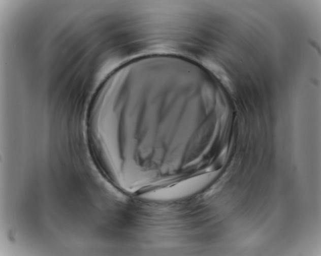 X0000097501334200803142011