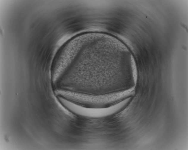 X0000097501335200803142011