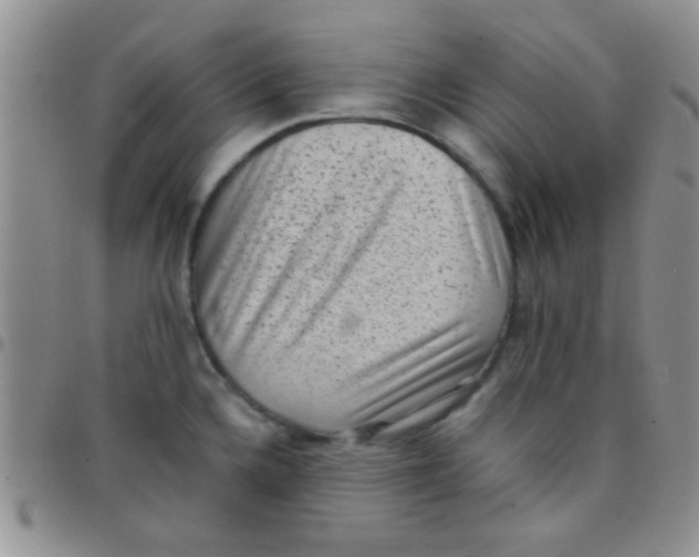 X0000097501336200803142011