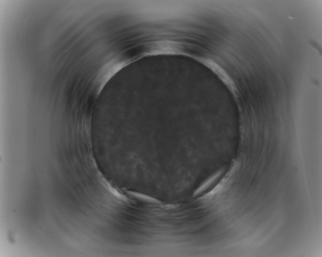 X0000097501337200803142011