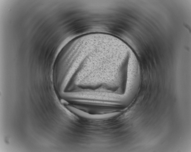 X0000097501339200803142011