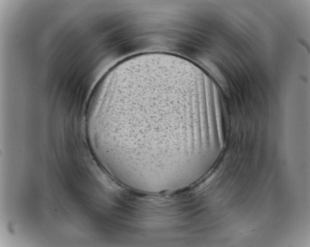 X0000097501340200803142011